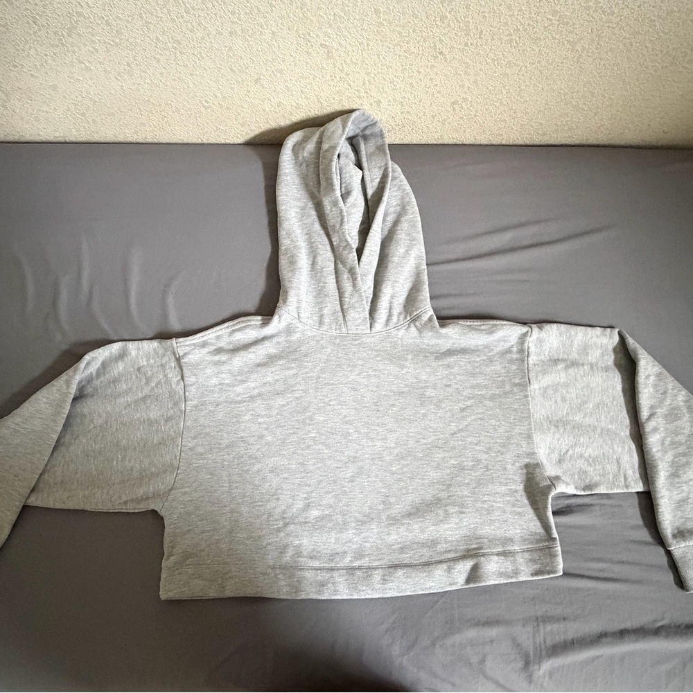 ALO Yoga Cropped Hoodie